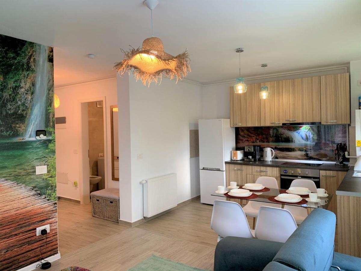 Bwa Zen Apartment Брашов Екстериор снимка